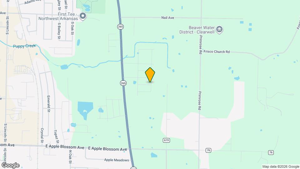 1110 Maclaren Ave Map and Location Details