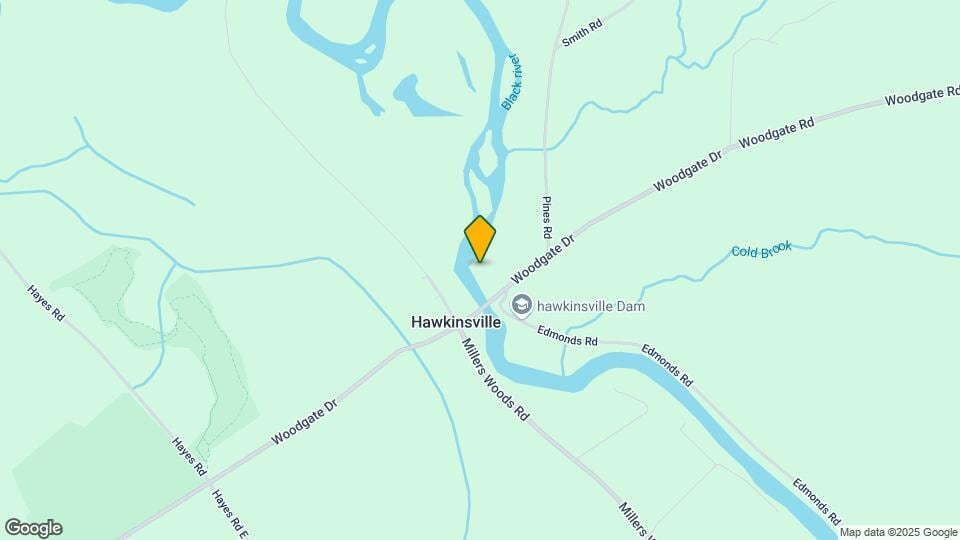 9237 Hawkinsville Rd Map and Location Details