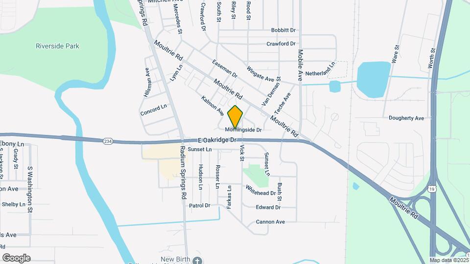 113 Morningside Dr Mapa y Detalles de la Ubicación
