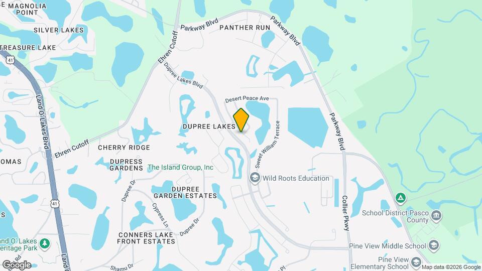 5933 Desert Peace Ave Map and Location Details