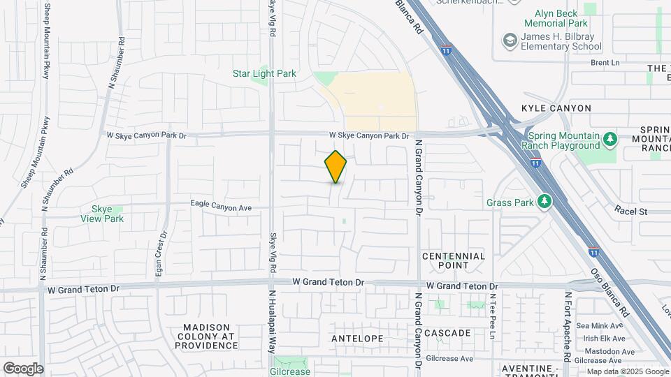 8236 Serpentine Sands St Map and Location Details