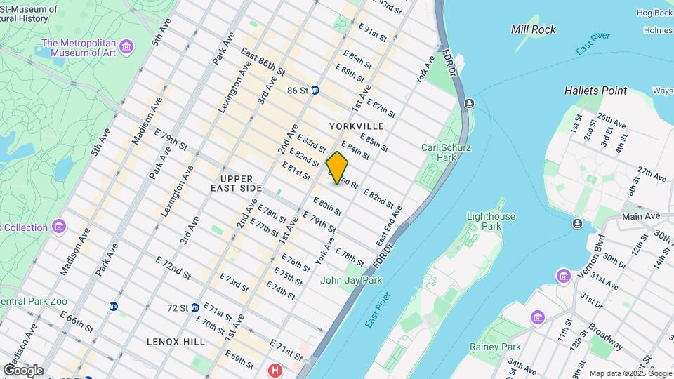 419 E 81st St Mapa y Detalles de la Ubicación