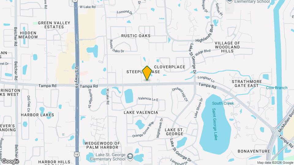 102 Steeplechase Ln Mapa y Detalles de la Ubicación