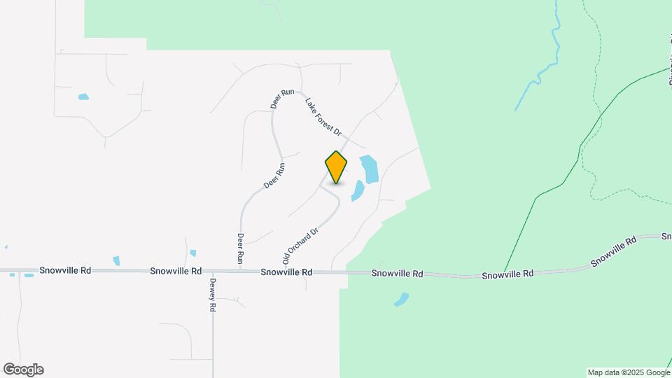 10161 Old Orchard Dr Map and Location Details