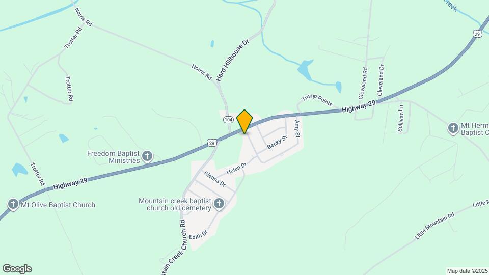 313 Amy St Mapa y Detalles de la Ubicación