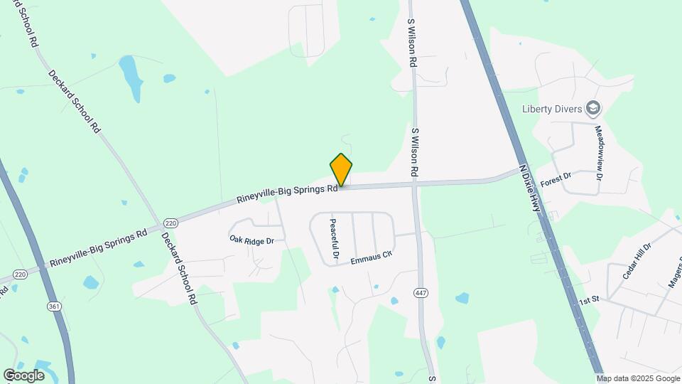 243 Rineyville-Big Springs Rd Map and Location Details