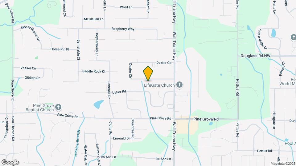 118 Dexter Cir Map and Location Details