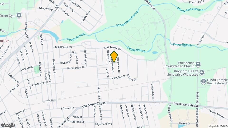 311 Brookdale Dr Map and Location Details