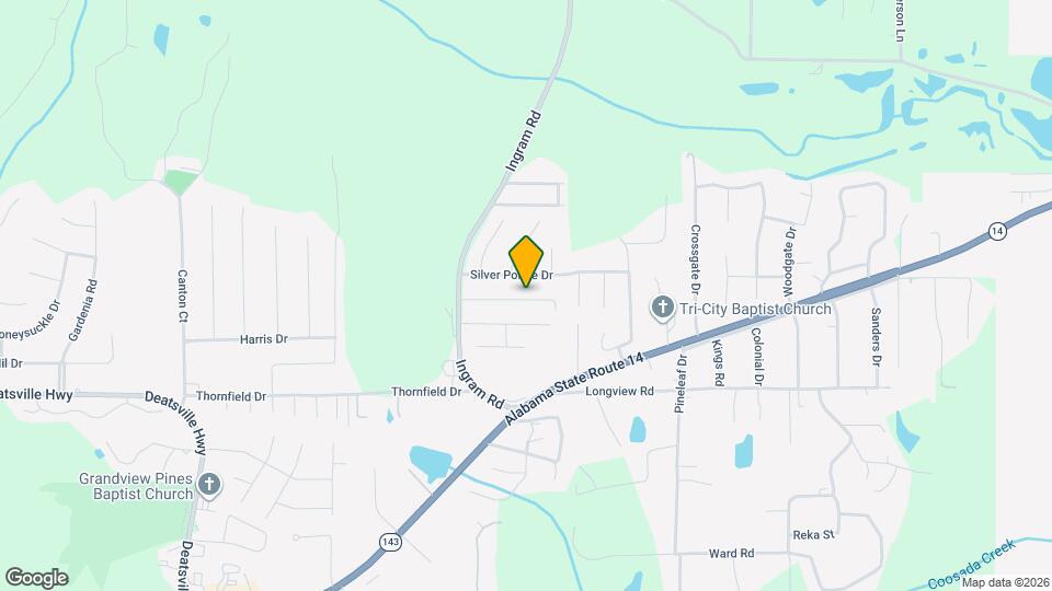 133 Pine Meadows Cir Mapa y Detalles de la Ubicación