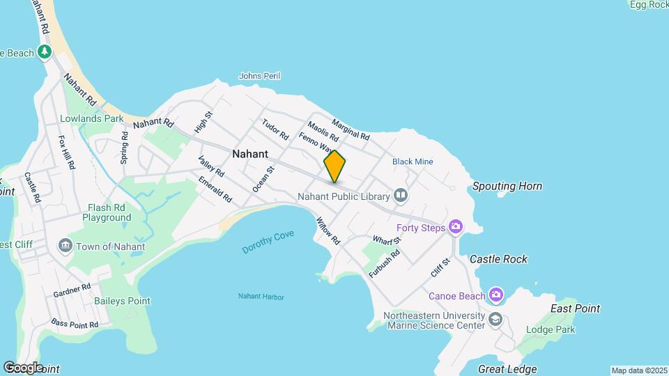 297 Nahant Rd Map and Location Details
