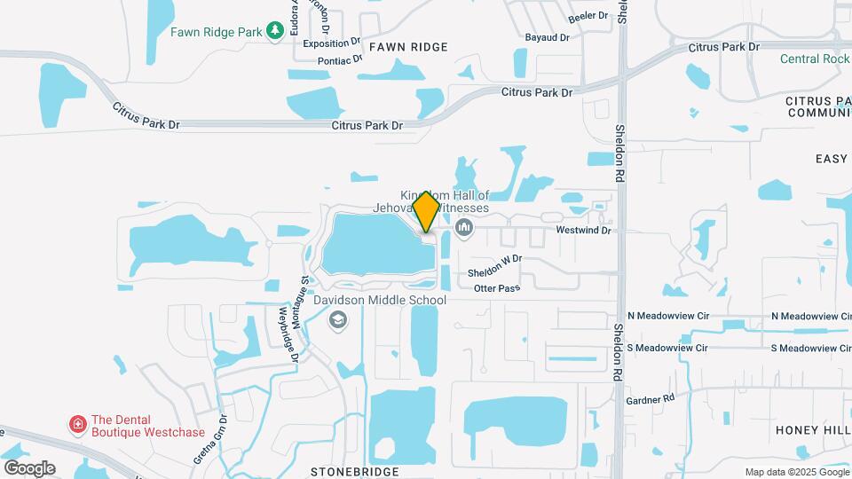 9208 Lake Chase Island Way Map and Location Details