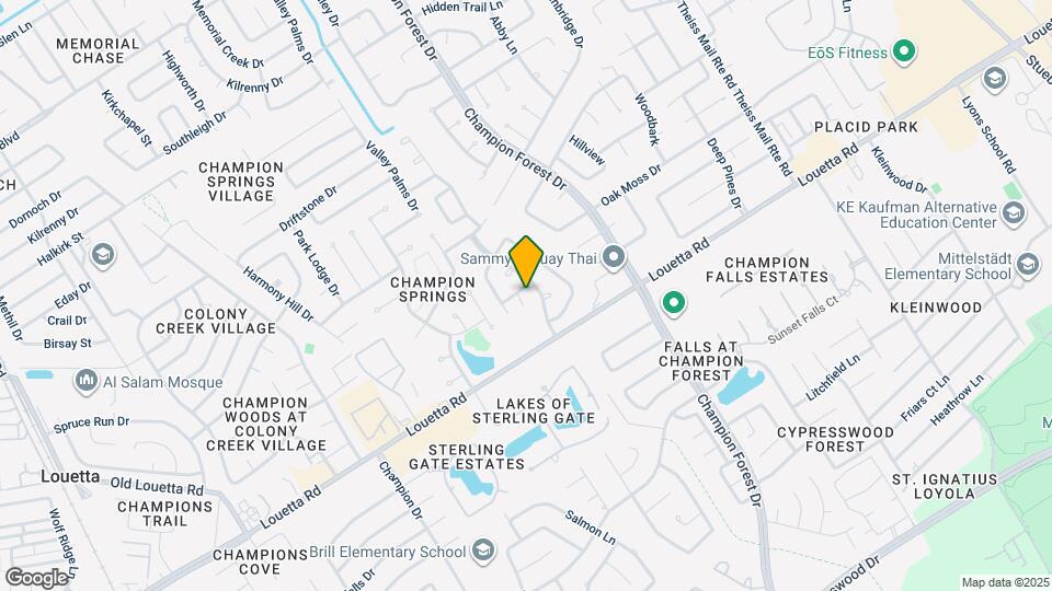 16910 Canyon Laurel Ct Map and Location Details