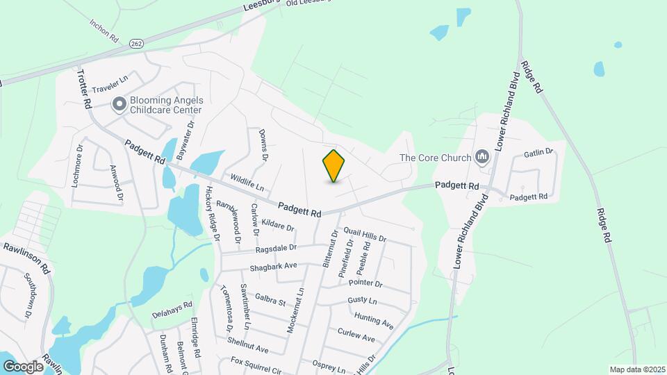 102 Kells Dr Mapa y Detalles de la Ubicación