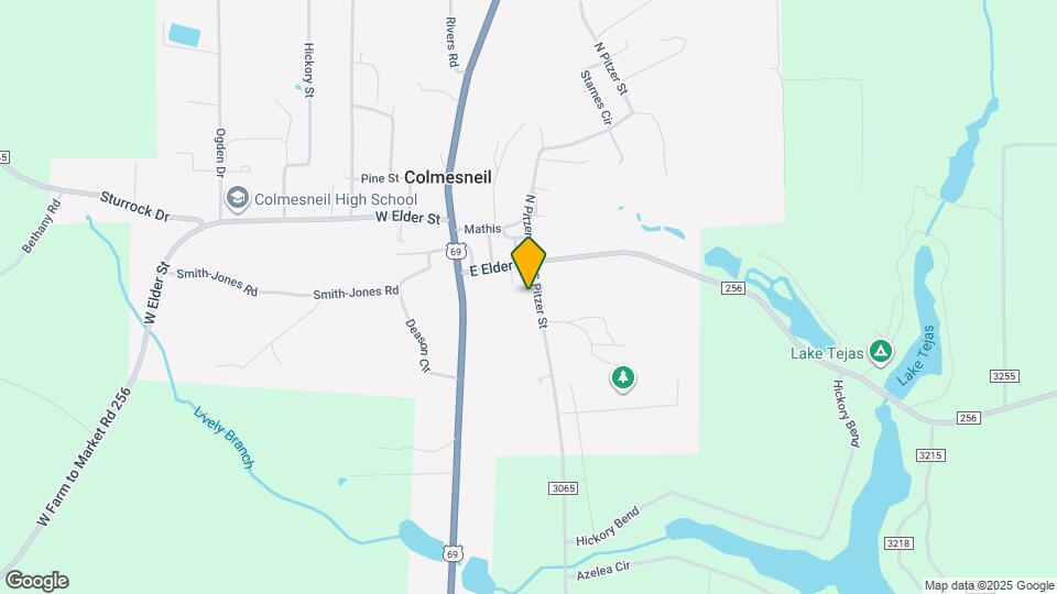 204 S Pitzer St Map and Location Details