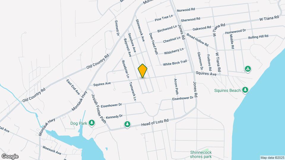61 Squires Ave Map and Location Details