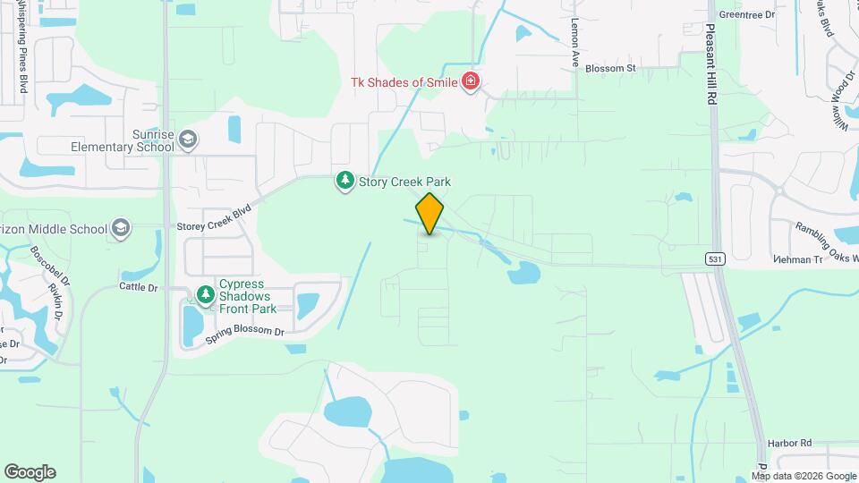 4213 Patterson Cv Map and Location Details