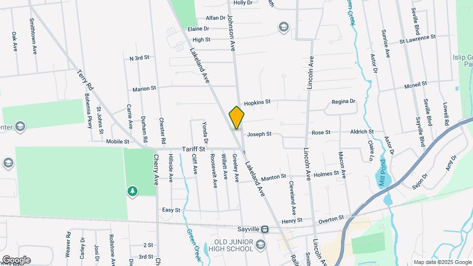 203 Lakeland Ave Map and Location Details