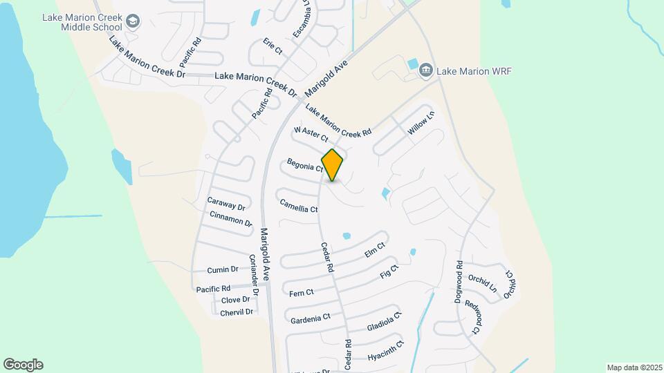 205 Begonia Ln Mapa y Detalles de la Ubicación