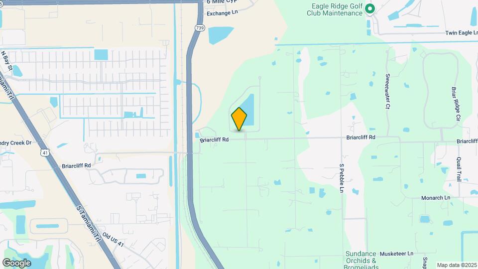 15177 Briarcrest Cir Map and Location Details