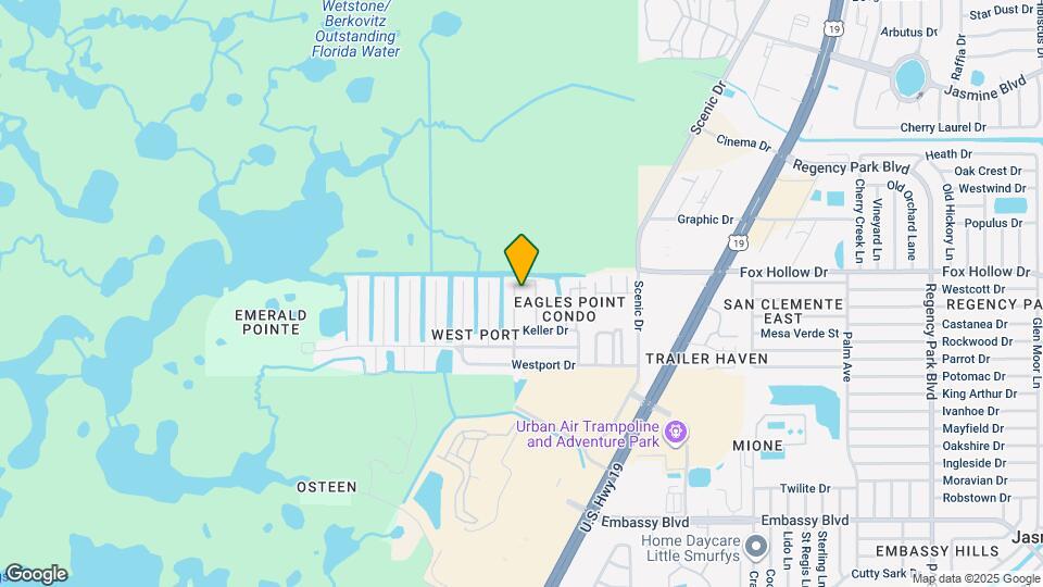 9920 Grace Dr Mapa y Detalles de la Ubicación