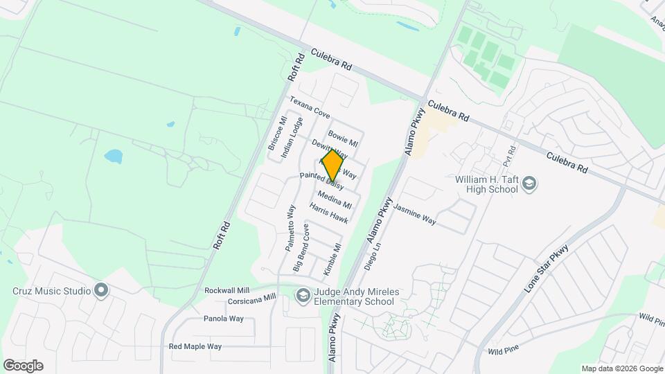 12214 Painted Daisy Map and Location Details