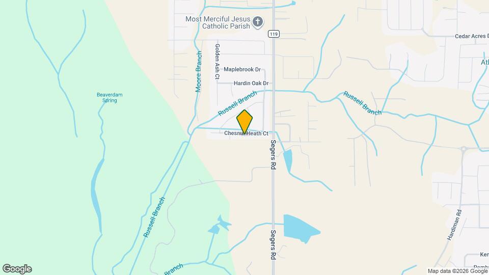 117 Chesnut Heath Ct Mapa y Detalles de la Ubicación