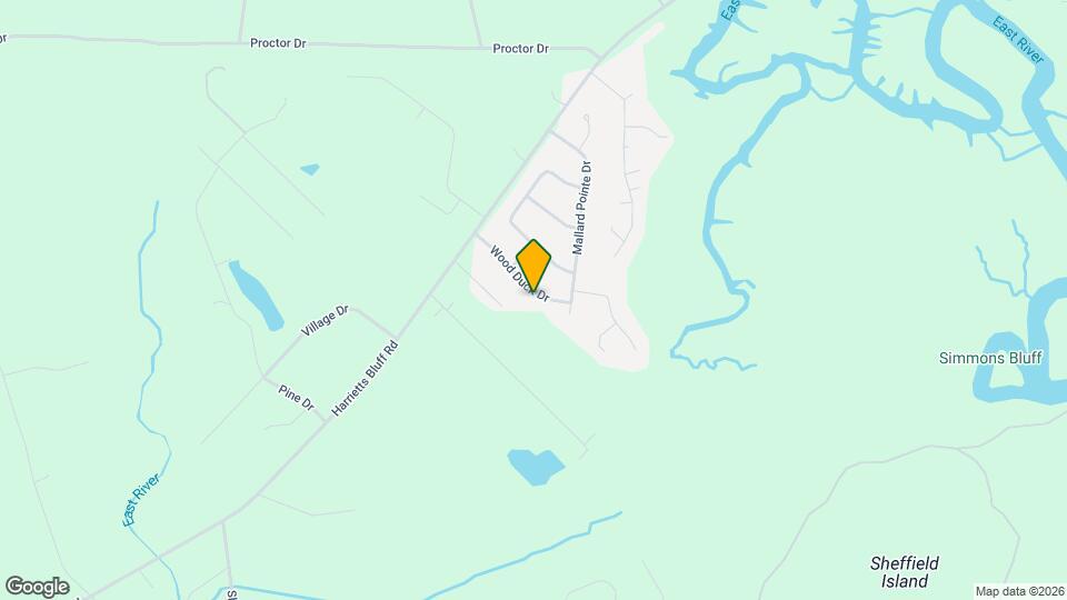 196 Wood Duck Dr Mapa y Detalles de la Ubicación