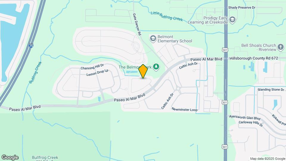 10049 Victory Gallop Loop Map and Location Details