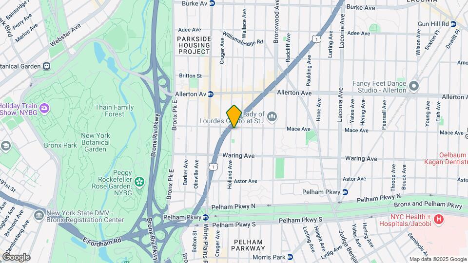 754 Mace Ave Map and Location Details