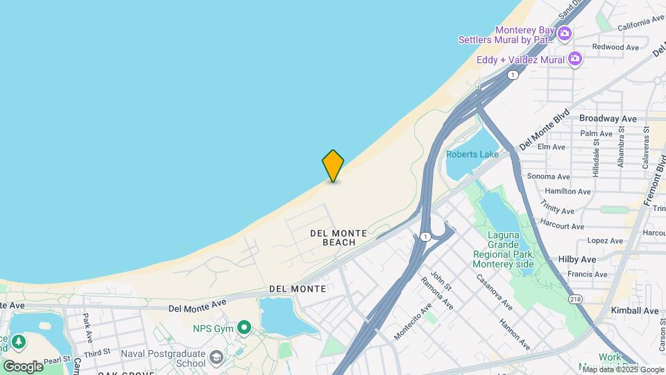 1 Surf Way Map and Location Details