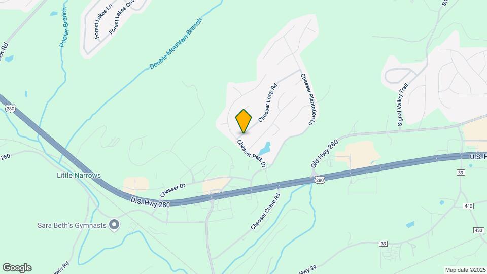 245 Chesser Loop Rd Mapa y Detalles de la Ubicación