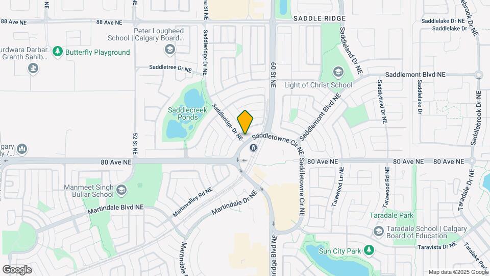 202 Saddleback Rd NE Map and Location Details