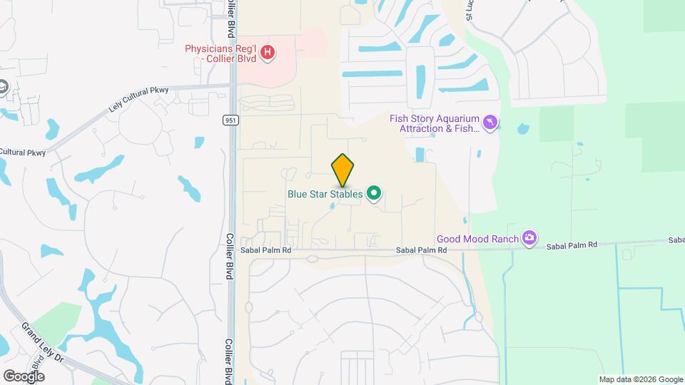 339 Tamarindo Ln Map and Location Details