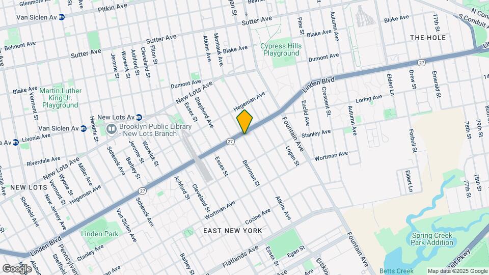994 Linden Blvd Mapa y Detalles de la Ubicación