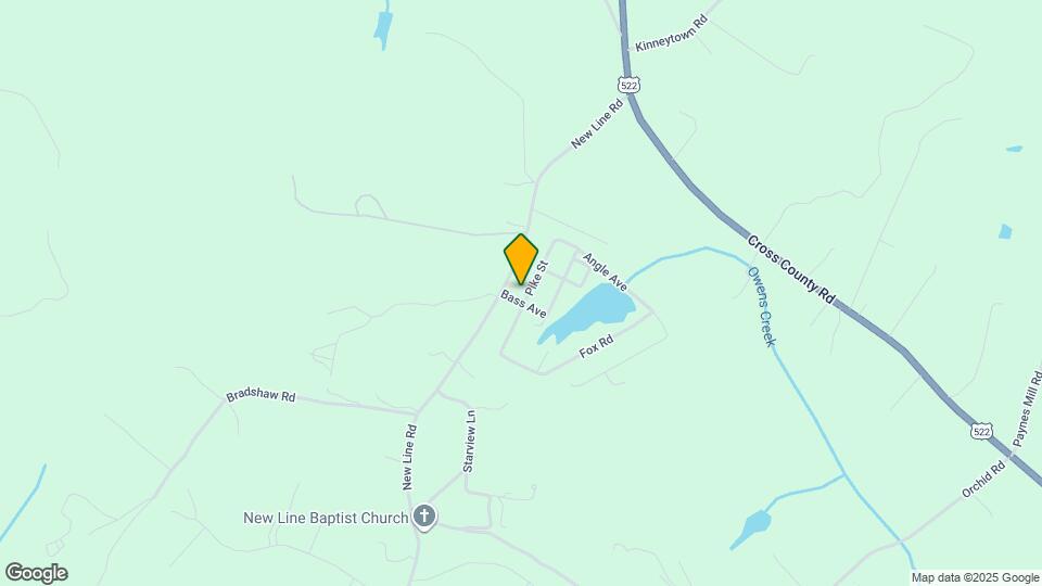 139 Pike St Mapa y Detalles de la Ubicación