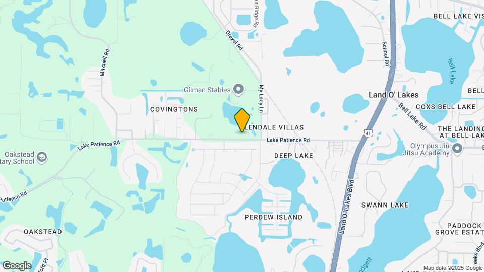 20855 Lake Patience Rd Map and Location Details