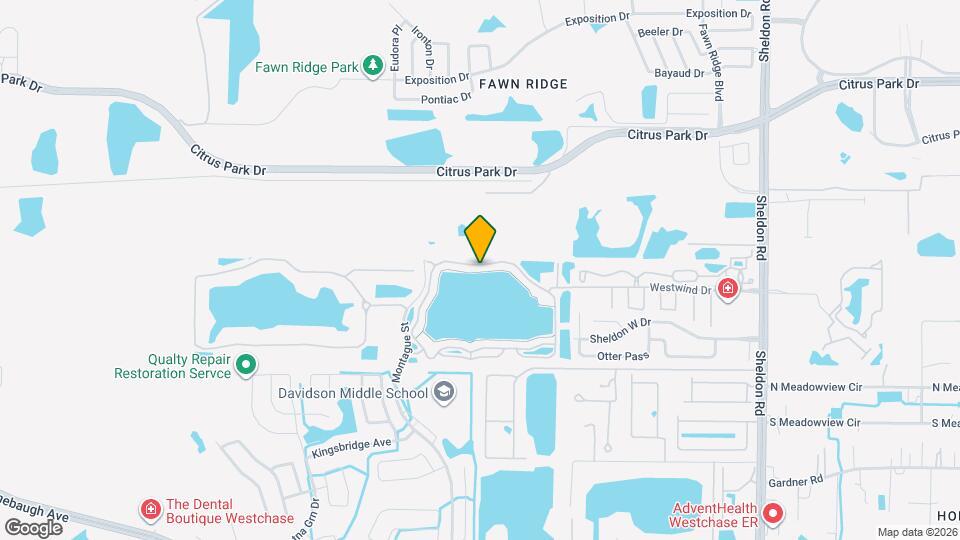9156 Lake Chase Island Way Map and Location Details
