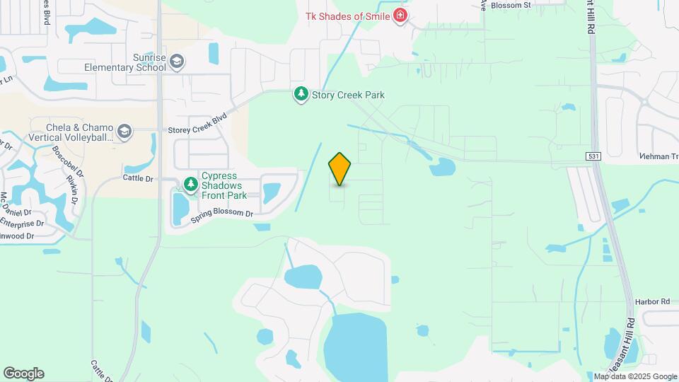 2306 Amorie Dr Map and Location Details