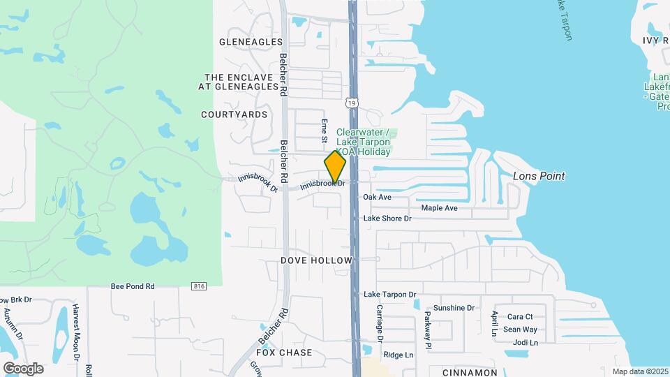 MAA Palm Harbor Map and Location Details