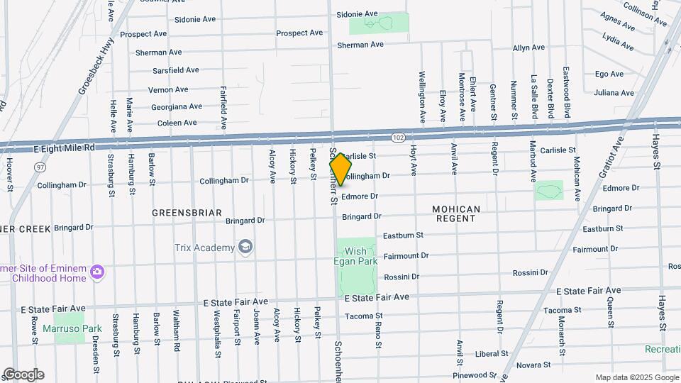 20310 Schoenherr St Map and Location Details