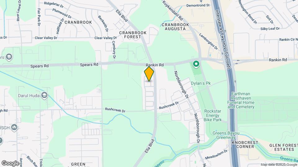 807 Forest Star Map and Location Details