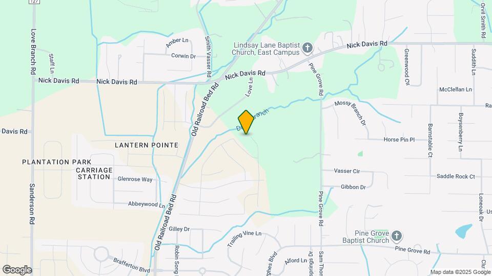 160 High Leaf Dr Mapa y Detalles de la Ubicación