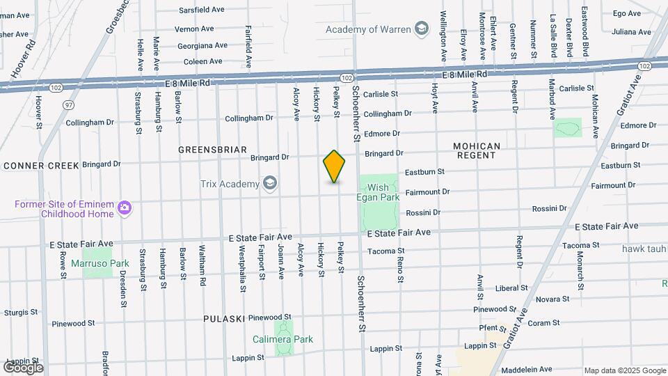 20017 Pelkey St Map and Location Details