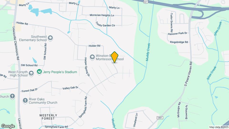 100 Pebble Run Ct Map and Location Details