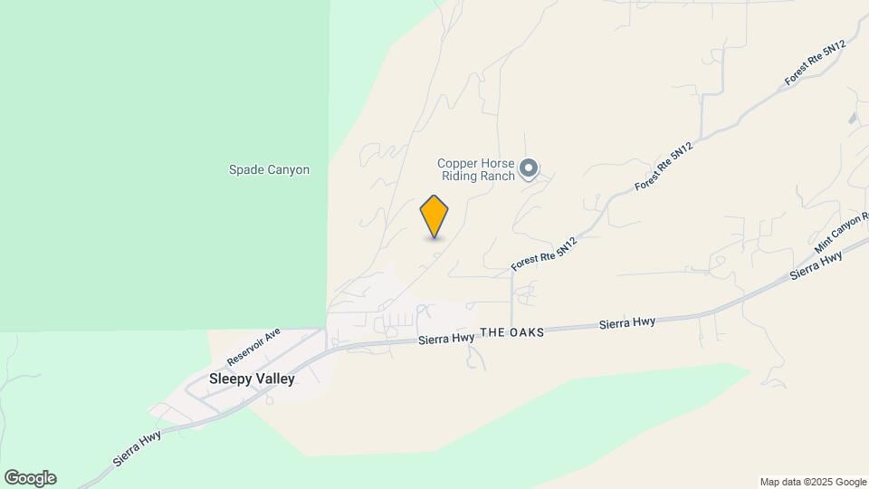 33635 Chrisco St Rentals in Agua Dulce, CA