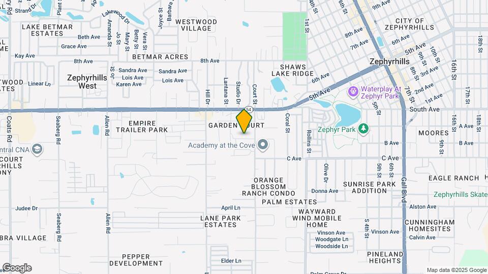 37697 Leafside Ln Mapa y Detalles de la Ubicación