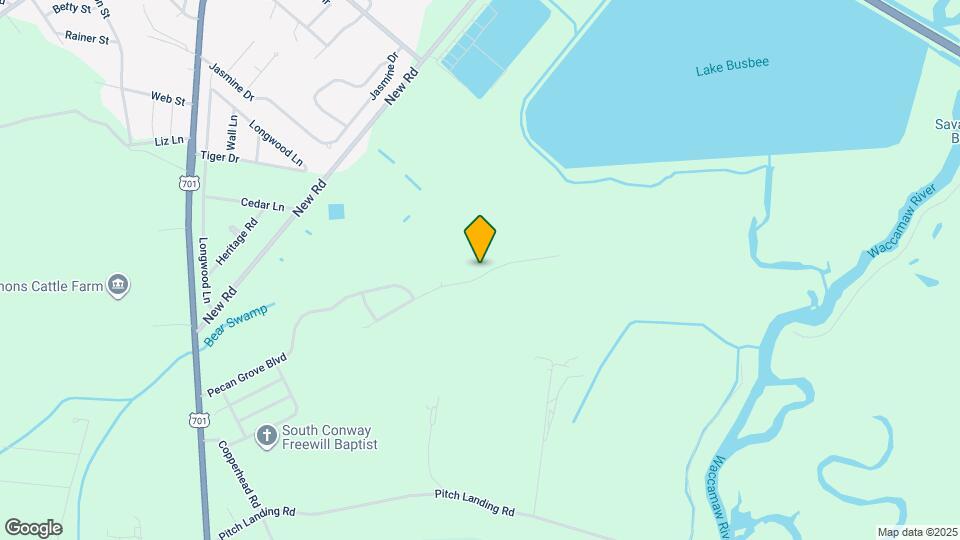 1245 Pine Ridge St Map and Location Details