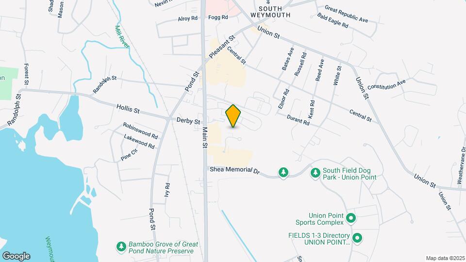 46 Greentree Ln Map and Location Details