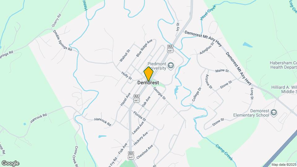 Demorest Springs Apartments Map and Location Details