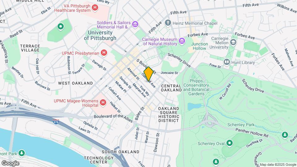 334 Oakland Ave Mapa y Detalles de la Ubicación